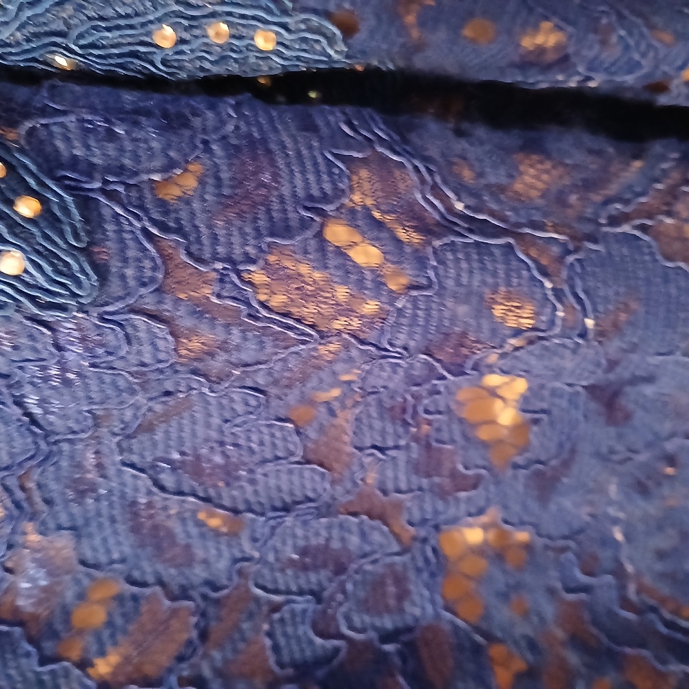 Anny Lee Blue Sequined Lace Wedding Prom Cocktail Evening Gown Dress Small - Picture 8 of 15